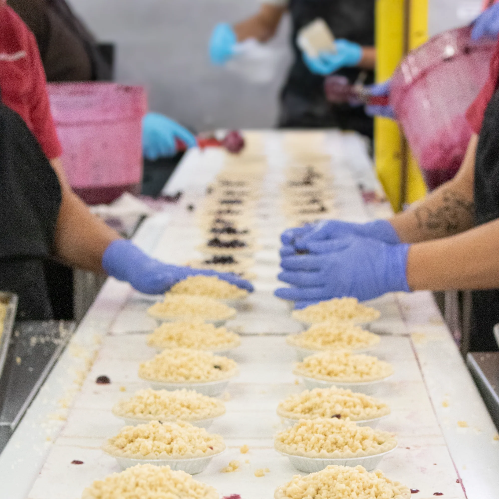 Blueberry Pie Tarts – 6pk - Image 3